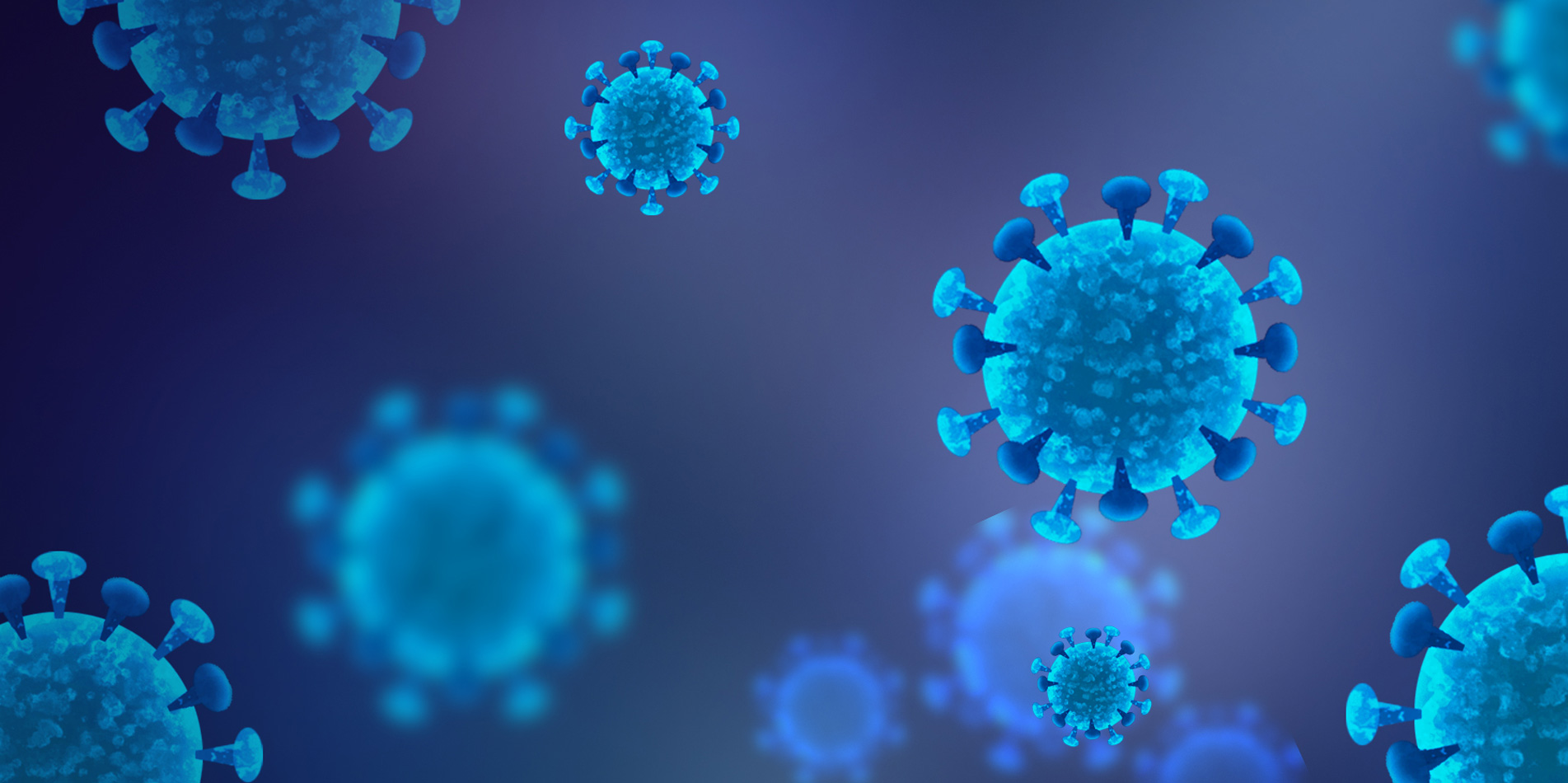 SARS-COV-2 Rapid Test